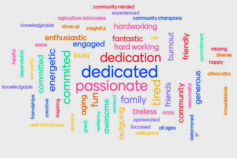 Fair Volunteer Word Graph